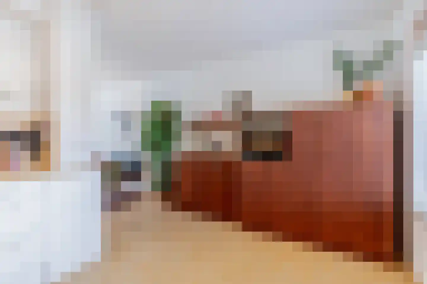 Betuwe 36 Assen thumbnail 36