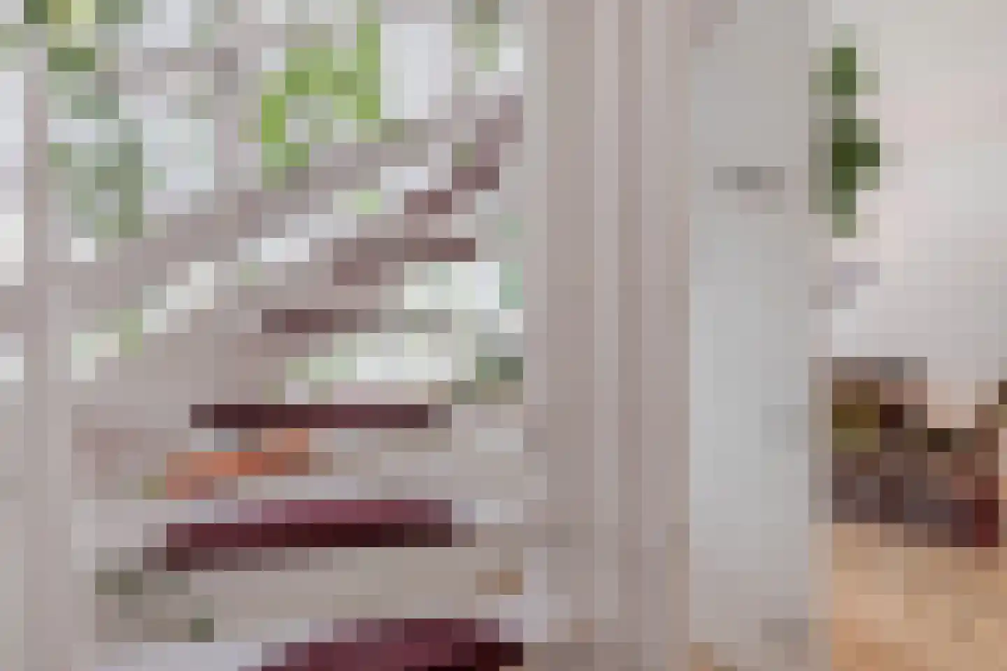 Betuwe 36 Assen thumbnail 37