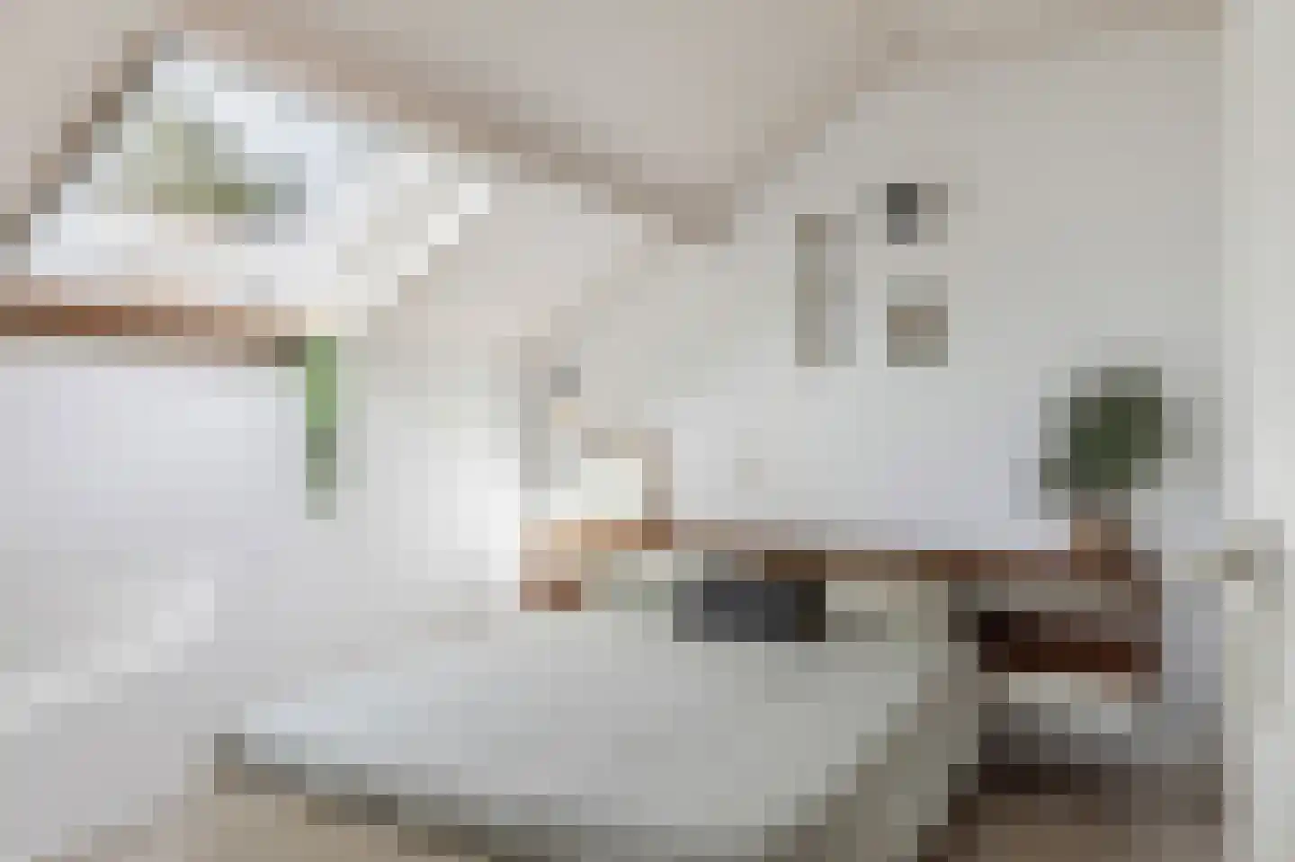 Betuwe 36 Assen thumbnail 40