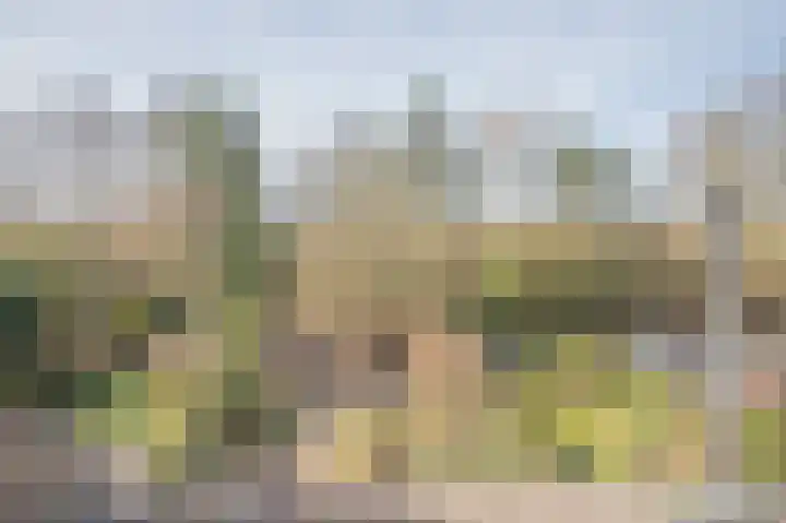 Betuwe 36 Assen thumbnail 49