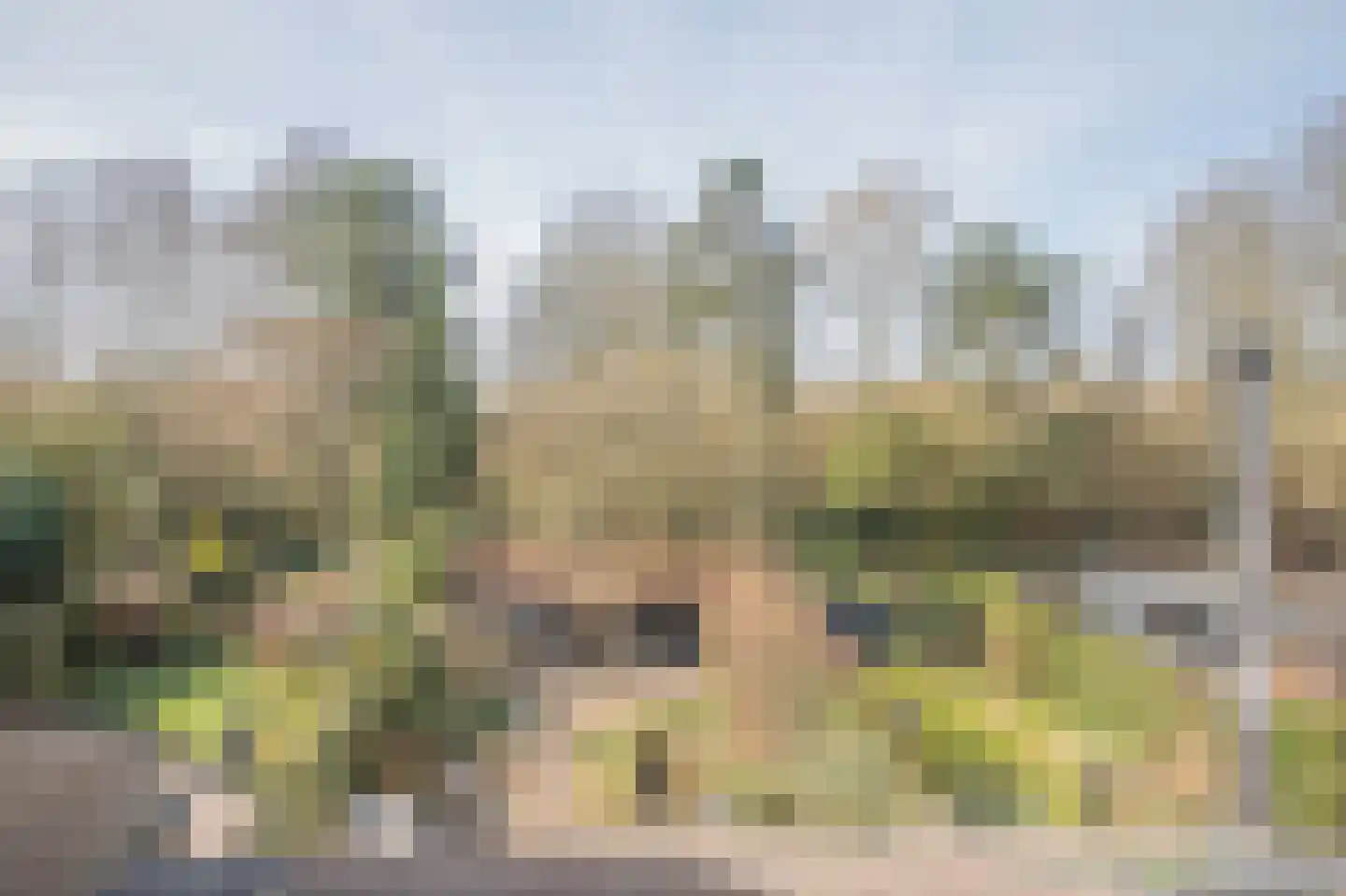 Betuwe 36 Assen thumbnail 49