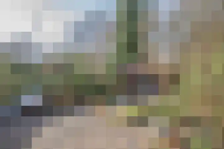 Betuwe 36 Assen thumbnail 51
