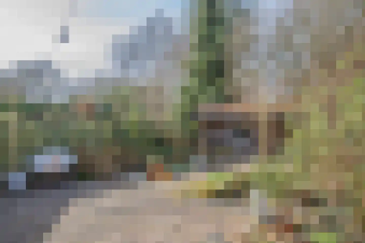 Betuwe 36 Assen thumbnail 51