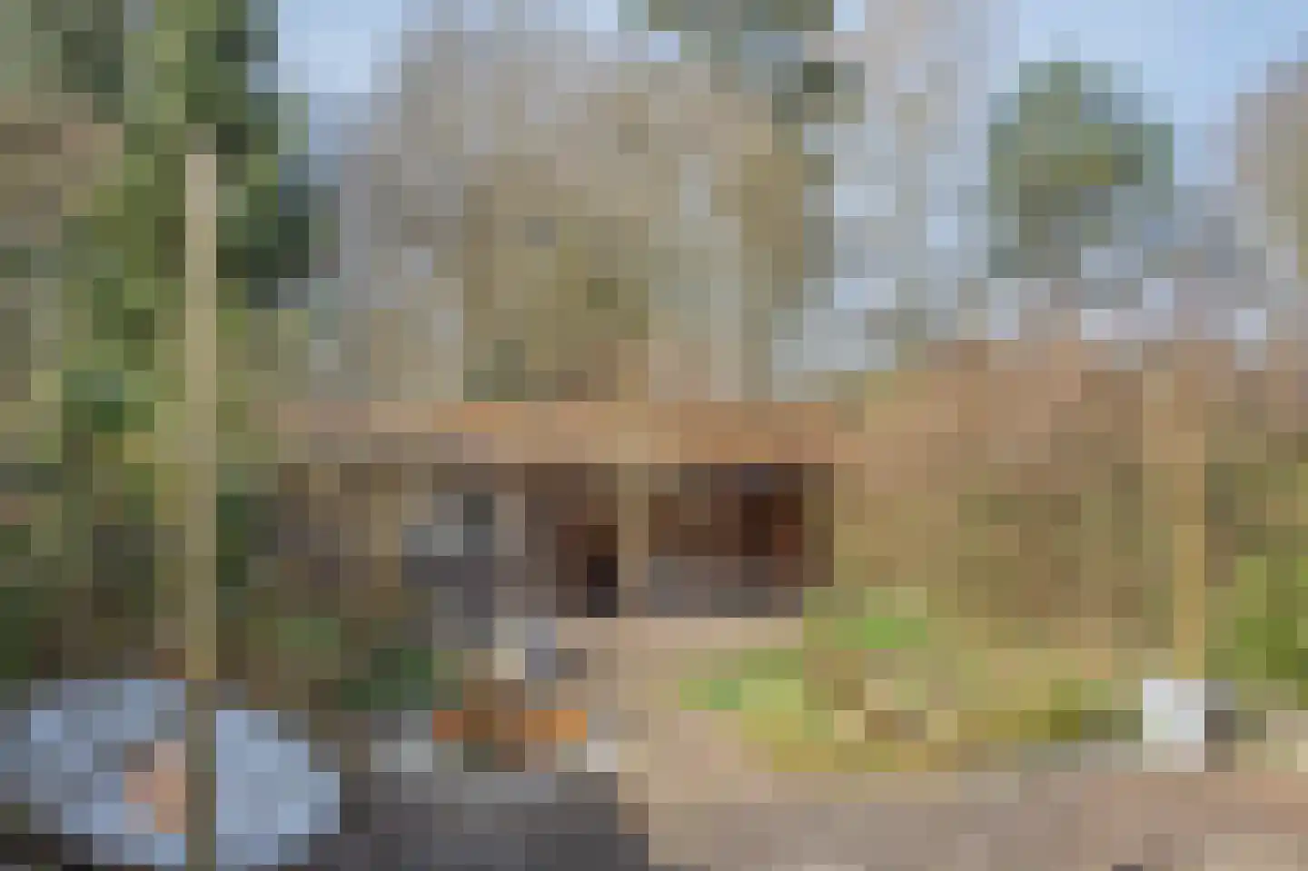 Betuwe 36 Assen thumbnail 54
