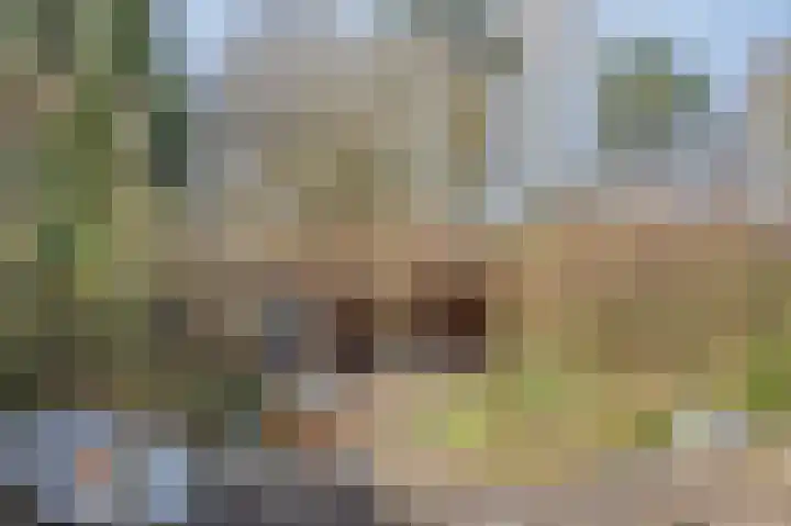 Betuwe 36 Assen thumbnail 54