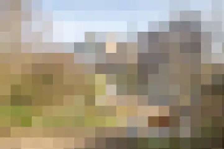 Betuwe 36 Assen thumbnail 60