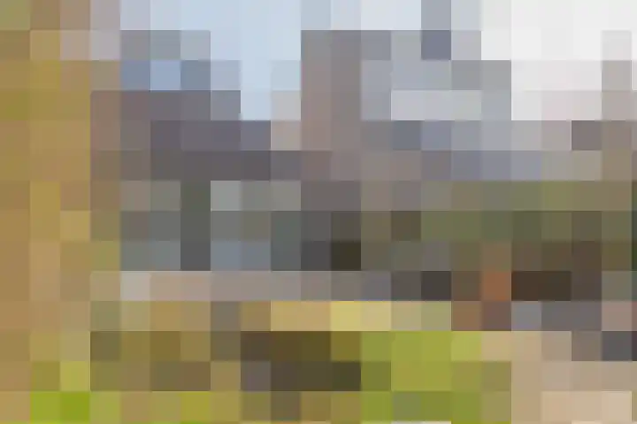 Betuwe 36 Assen thumbnail 61