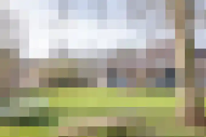Betuwe 36 Assen thumbnail 63