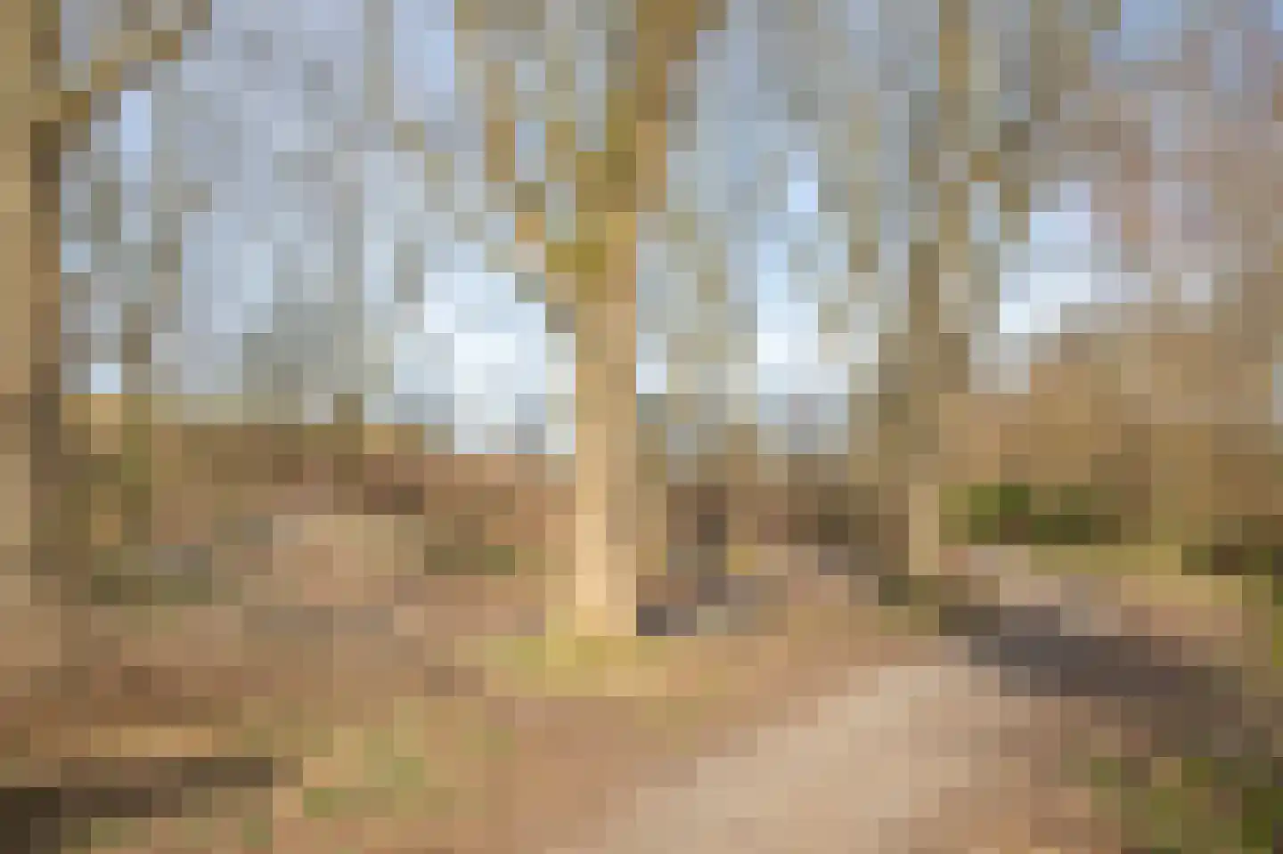 Betuwe 36 Assen thumbnail 64