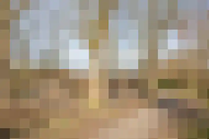 Betuwe 36 Assen thumbnail 64