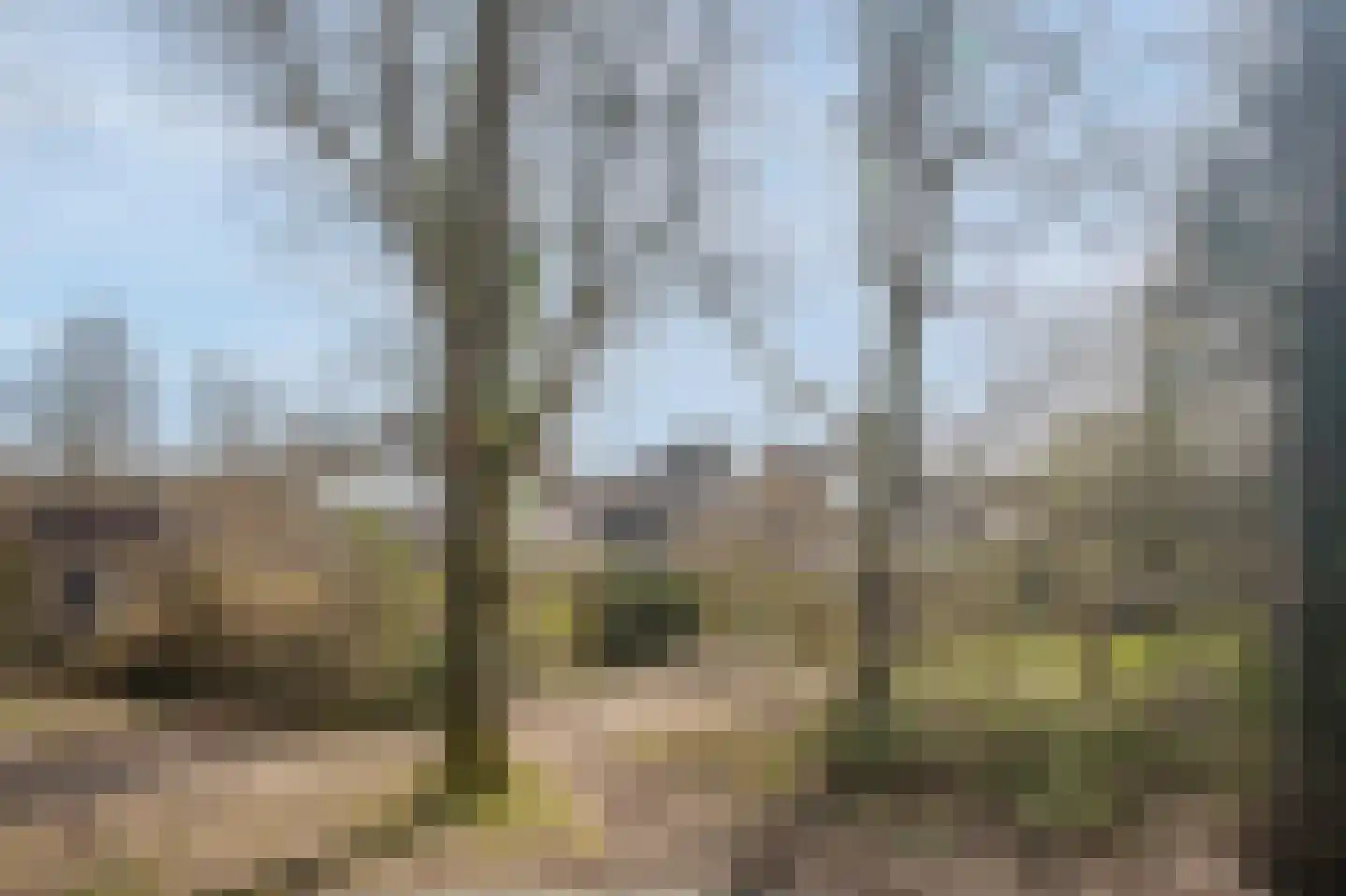 Betuwe 36 Assen thumbnail 65