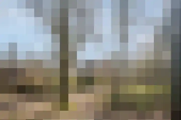 Betuwe 36 Assen thumbnail 65