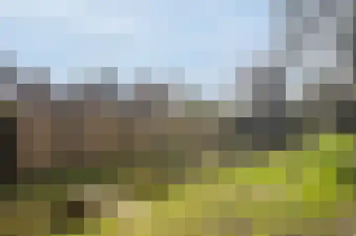Betuwe 36 Assen thumbnail 66