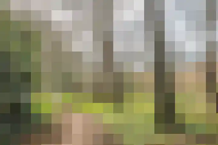 Betuwe 36 Assen thumbnail 67