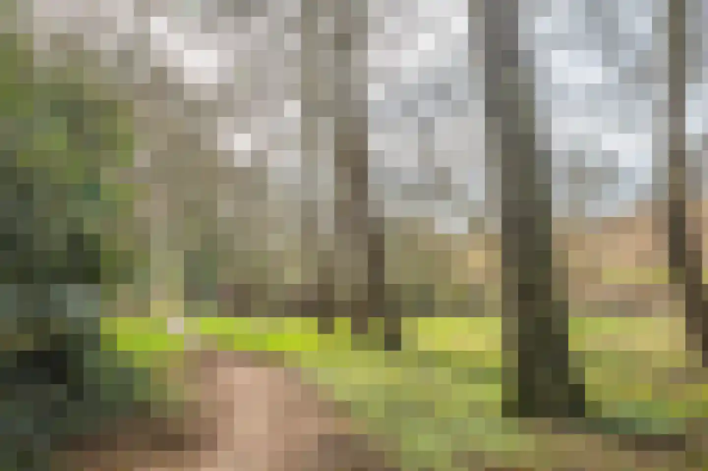 Betuwe 36 Assen thumbnail 67