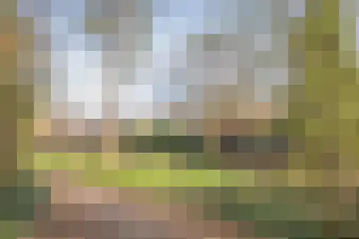 Betuwe 36 Assen thumbnail 68