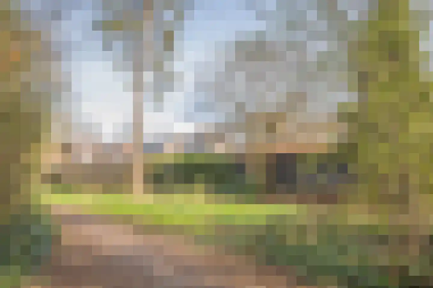 Betuwe 36 Assen thumbnail 68