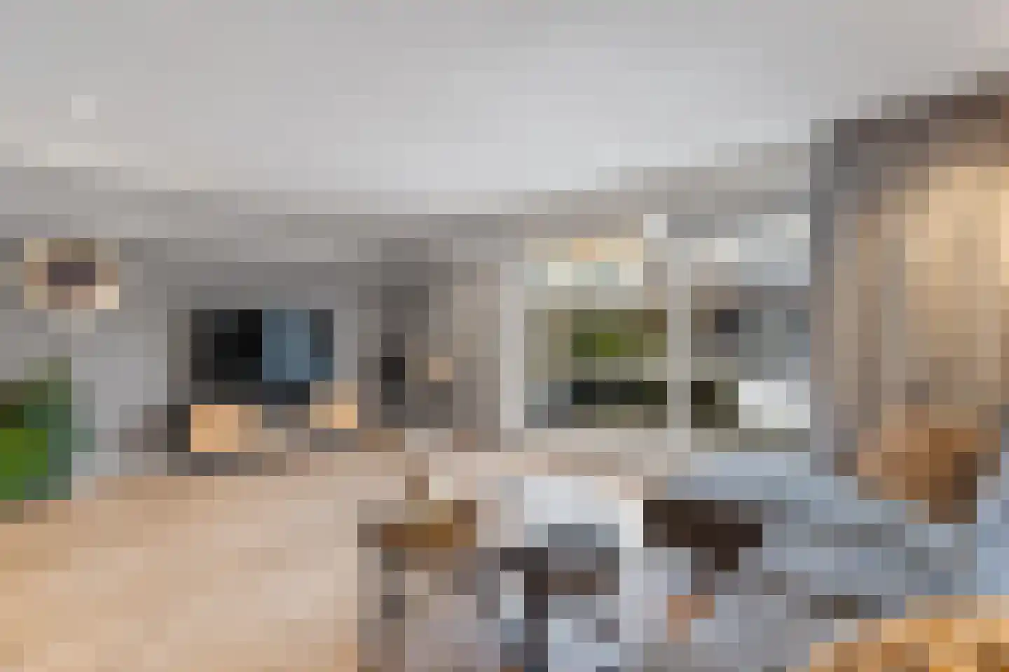 Betuwe 36 Lelystad thumbnail 12
