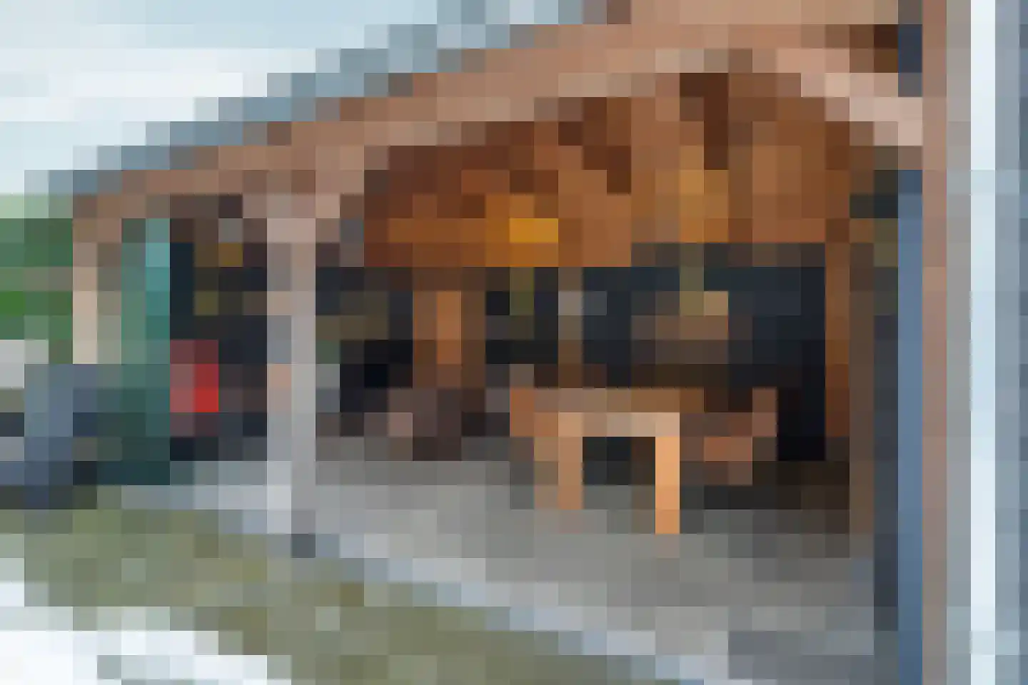 Betuwe 36 Lelystad thumbnail 60