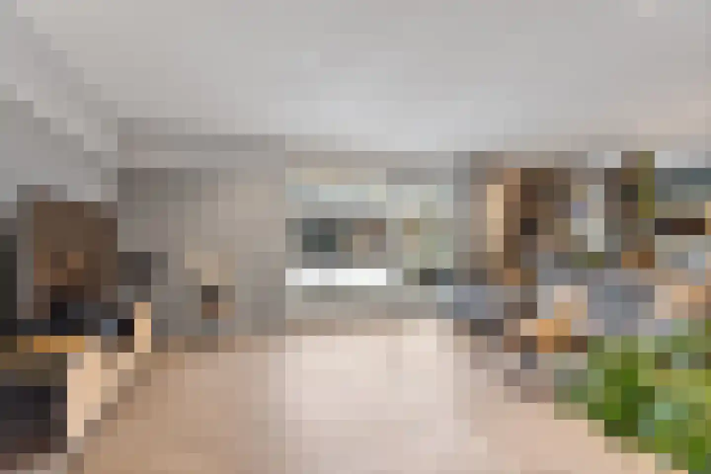 Betuwe 36 Lelystad thumbnail 8