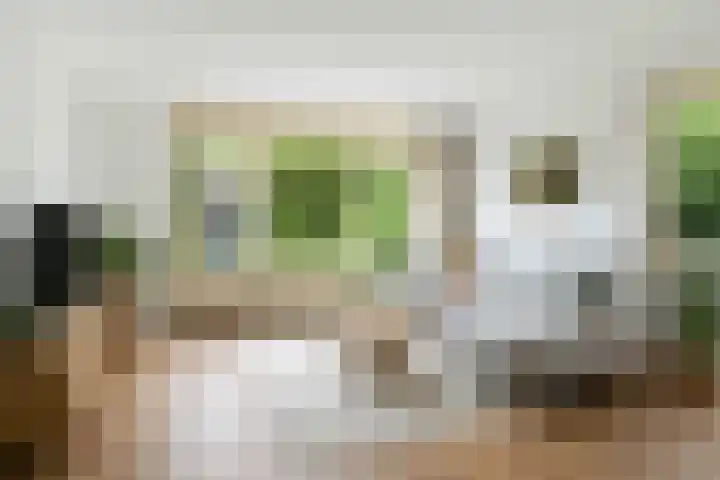 Betuwe 50 Utrecht thumbnail 11