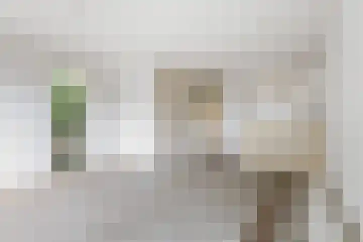 Betuwe 50 Utrecht thumbnail 12