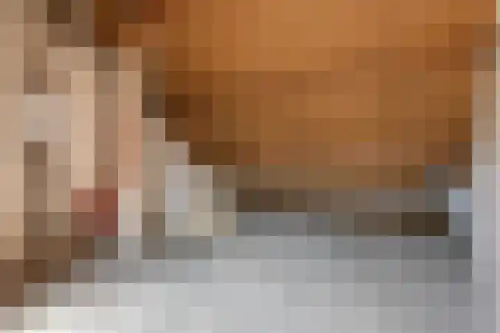 Betuwe 50 Utrecht thumbnail 28