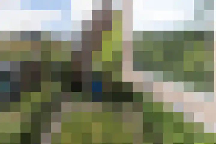 Betuwe 50 Utrecht thumbnail 29