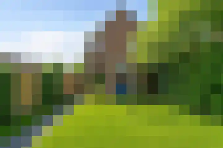 Betuwe 50 Utrecht thumbnail 31
