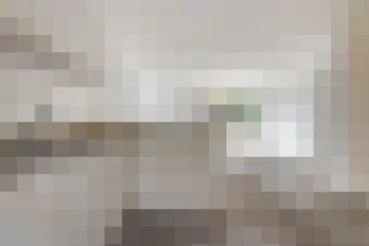 Betuwe 50 Utrecht thumbnail 4