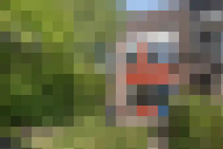 Betuwe 50 Utrecht thumbnail 5