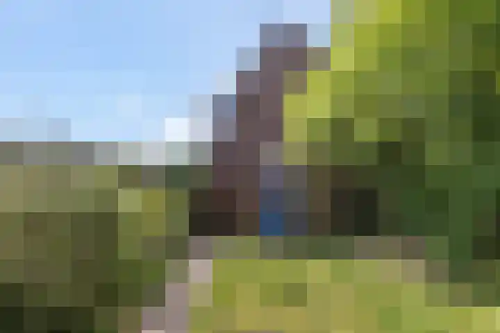 Betuwe 50 Utrecht thumbnail 6