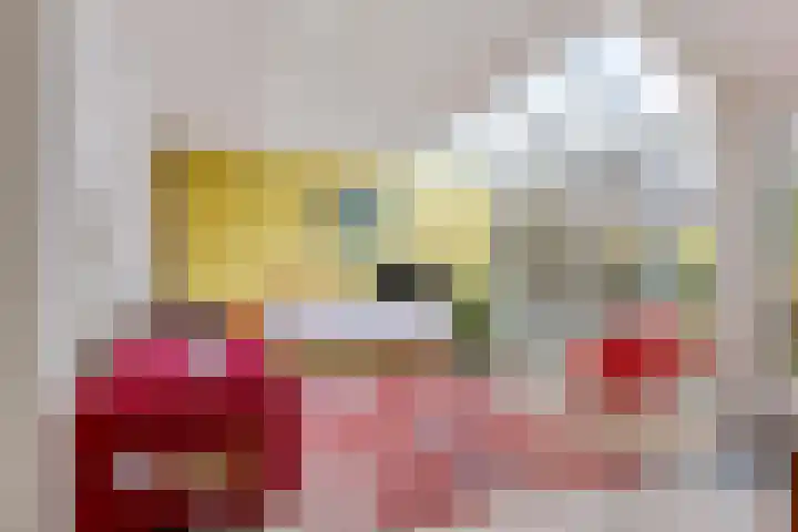 Betuwe 52 Assen thumbnail 11