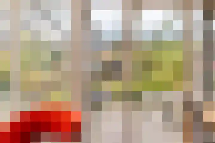 Betuwe 52 Assen thumbnail 13