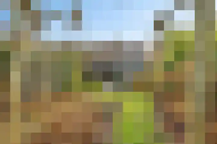 Betuwe 52 Assen thumbnail 37