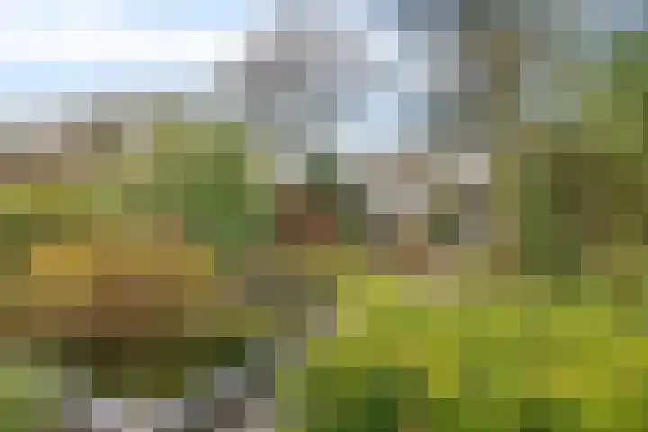 Betuwe 52 Assen thumbnail 38