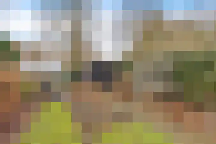 Betuwe 52 Assen thumbnail 39