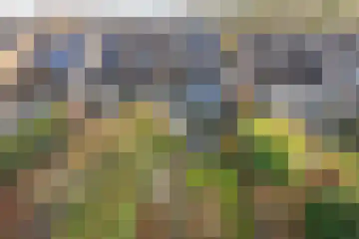 Betuwe 52 Assen thumbnail 41