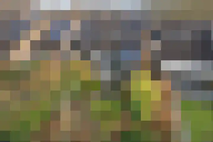 Betuwe 52 Assen thumbnail 42