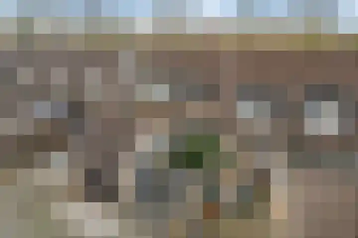 Betuwe 52 Assen thumbnail 43