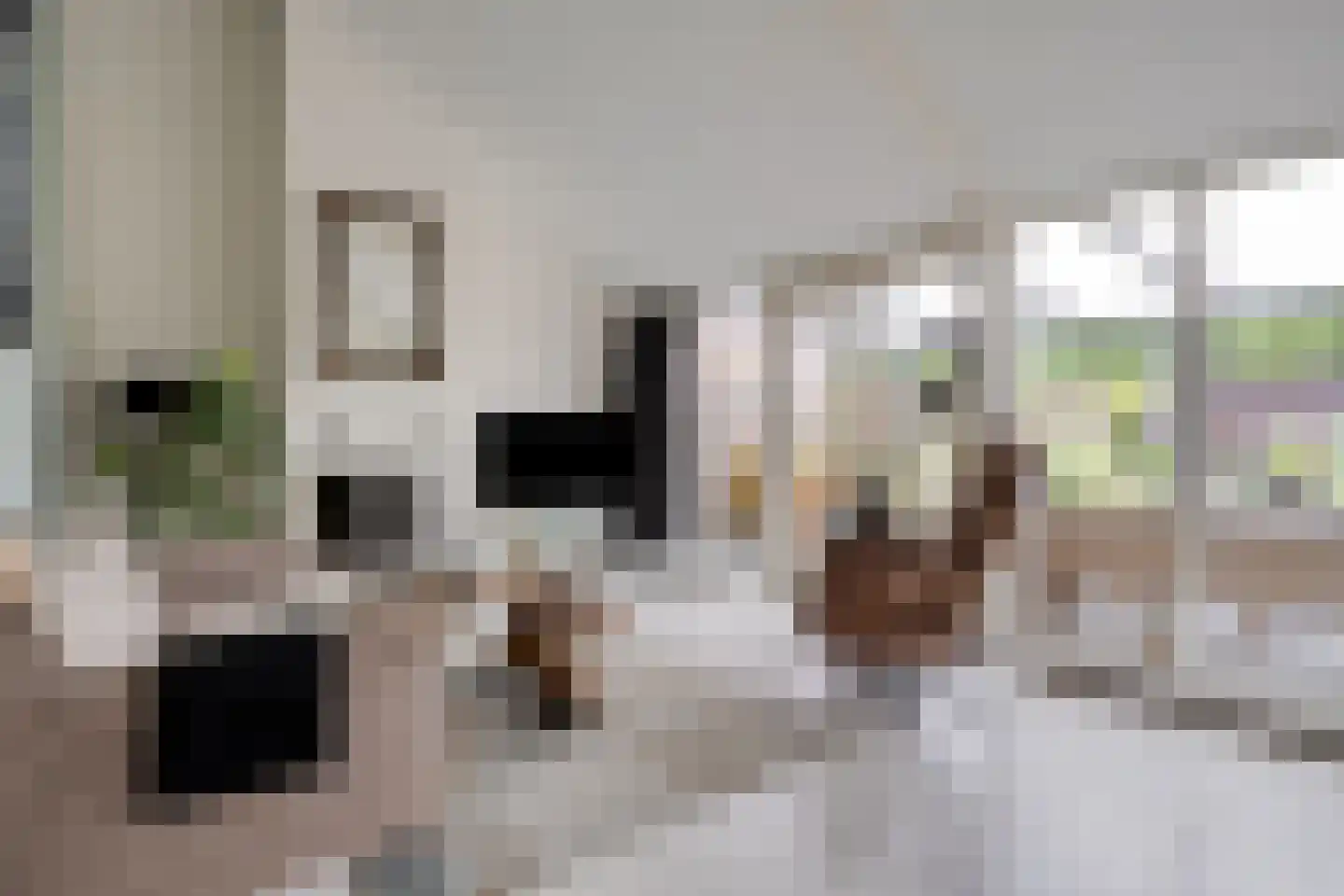 Betuwe 54 Assen thumbnail 12