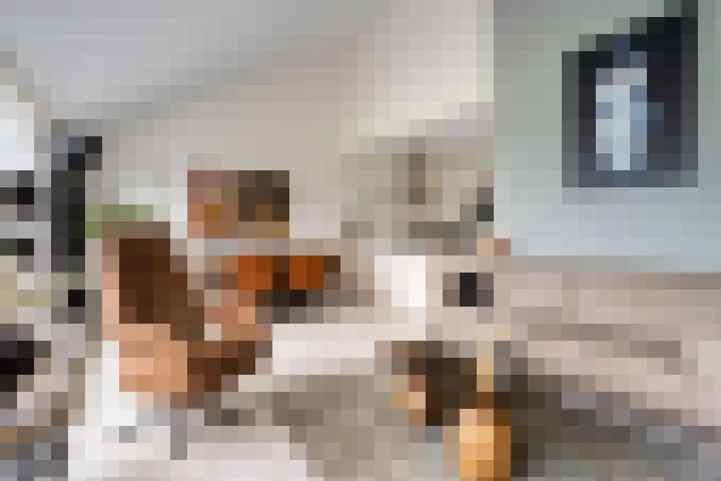 Betuwe 54 Assen thumbnail 14