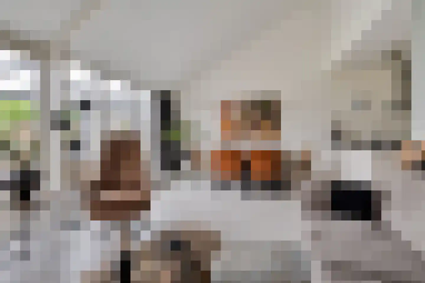 Betuwe 54 Assen thumbnail 15