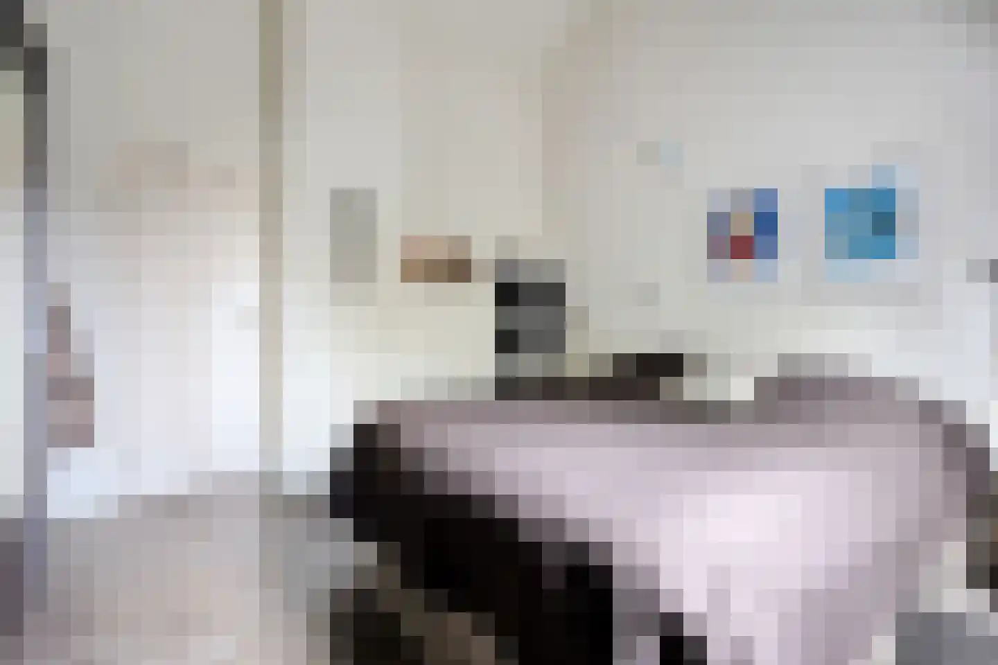 Betuwe 54 Assen thumbnail 28