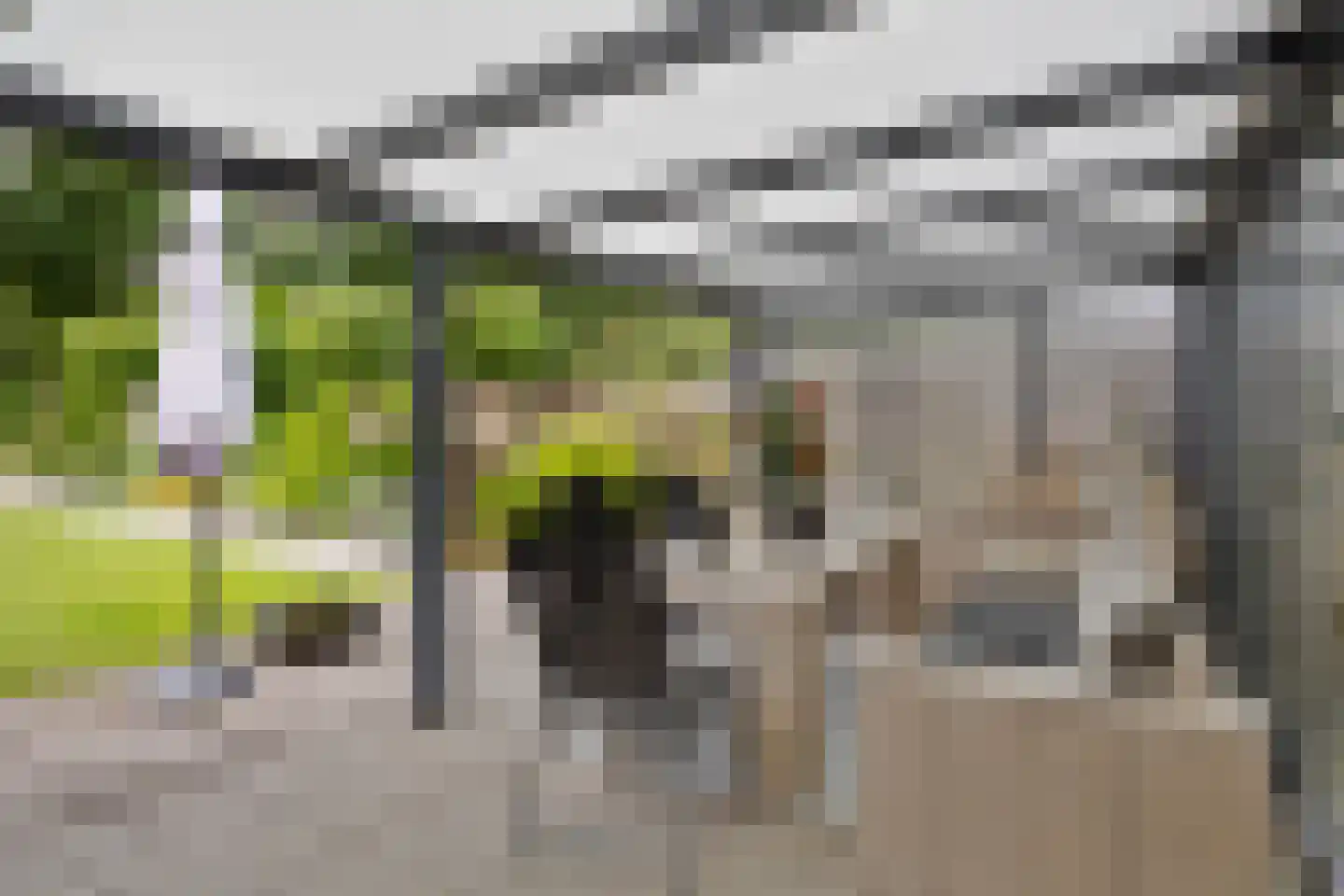 Betuwe 54 Assen thumbnail 33