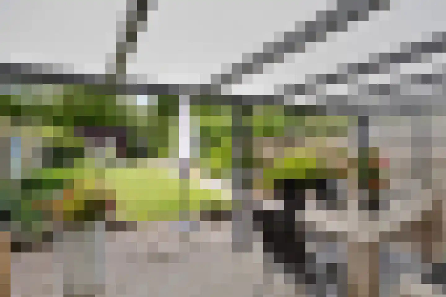 Betuwe 54 Assen thumbnail 34