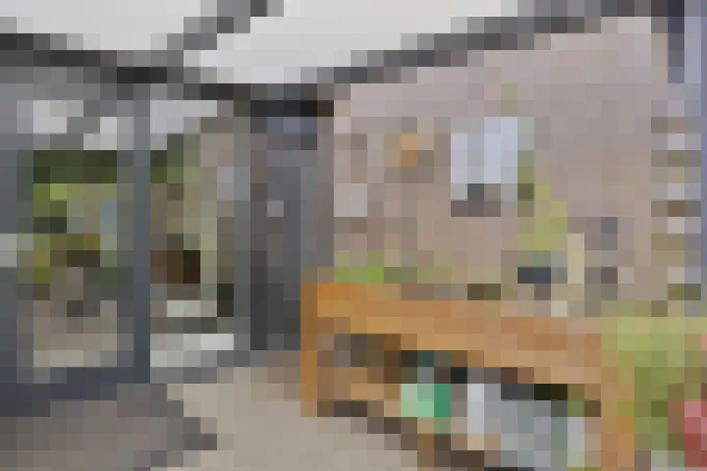 Betuwe 54 Assen thumbnail 35