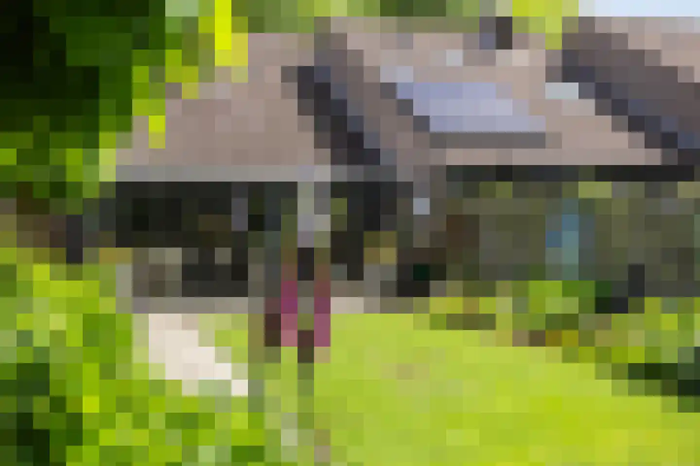 Betuwe 54 Assen thumbnail 36
