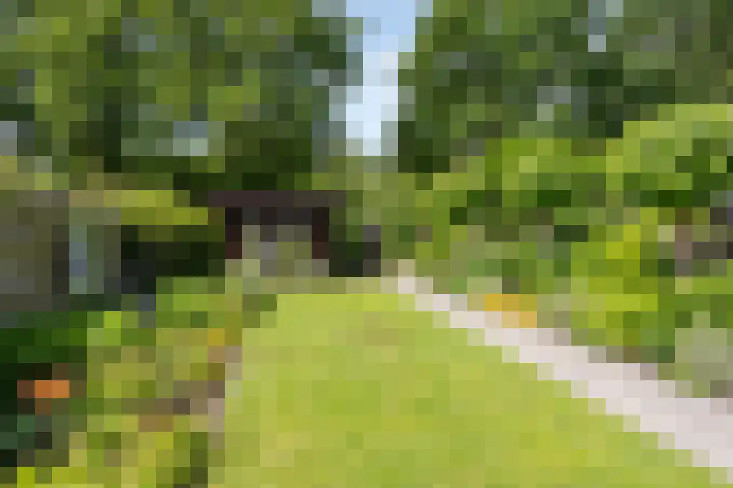 Betuwe 54 Assen thumbnail 38