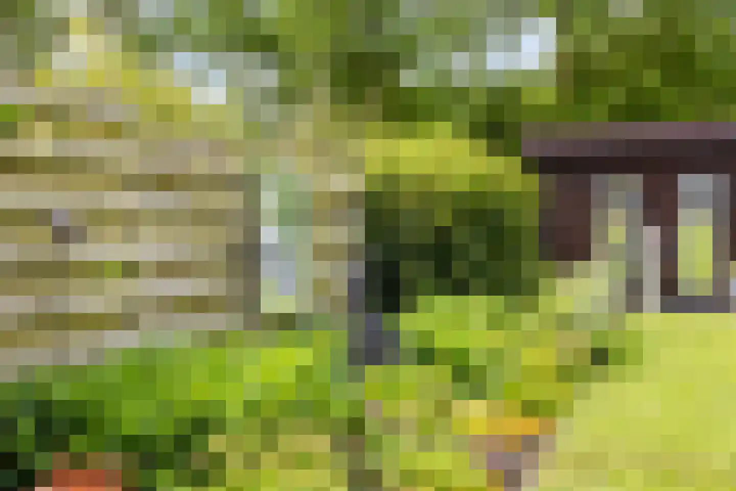 Betuwe 54 Assen thumbnail 39